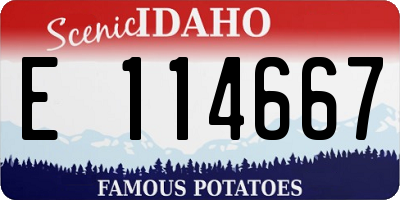 ID license plate E114667