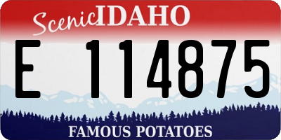 ID license plate E114875