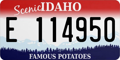ID license plate E114950