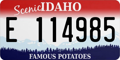 ID license plate E114985