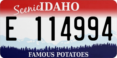 ID license plate E114994