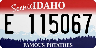 ID license plate E115067