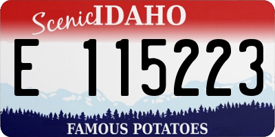 ID license plate E115223