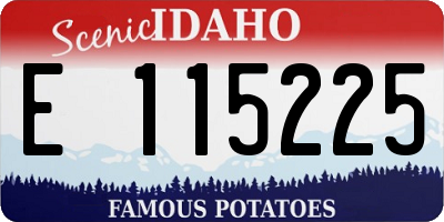 ID license plate E115225