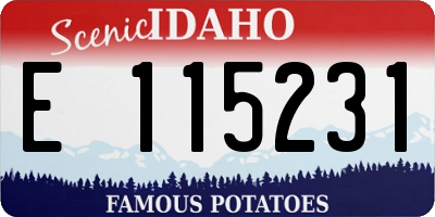 ID license plate E115231