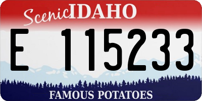 ID license plate E115233