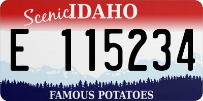 ID license plate E115234