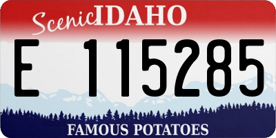 ID license plate E115285