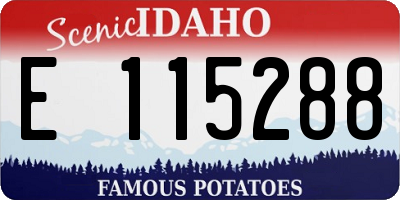 ID license plate E115288