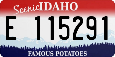 ID license plate E115291
