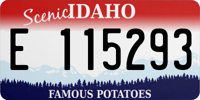 ID license plate E115293