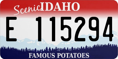 ID license plate E115294
