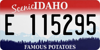 ID license plate E115295