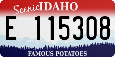 ID license plate E115308