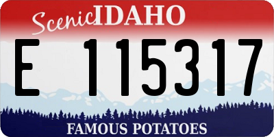 ID license plate E115317
