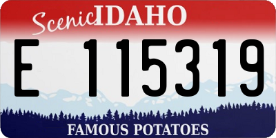ID license plate E115319
