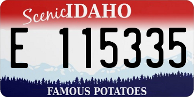 ID license plate E115335