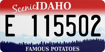 ID license plate E115502