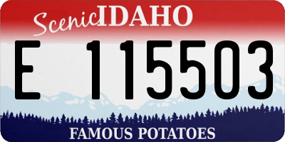 ID license plate E115503