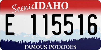 ID license plate E115516