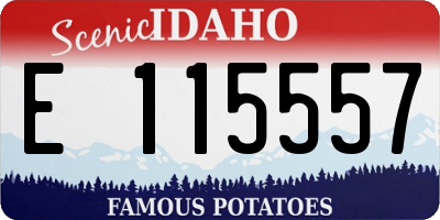 ID license plate E115557