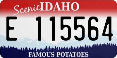 ID license plate E115564
