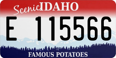 ID license plate E115566