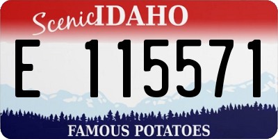 ID license plate E115571