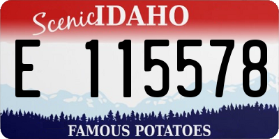 ID license plate E115578