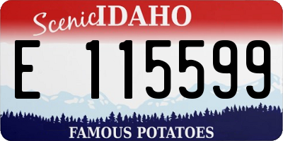 ID license plate E115599
