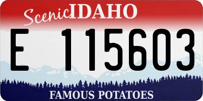 ID license plate E115603