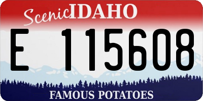 ID license plate E115608