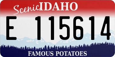 ID license plate E115614