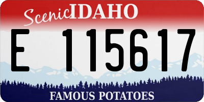 ID license plate E115617