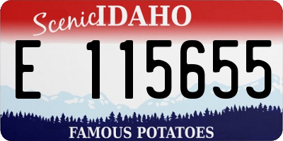 ID license plate E115655