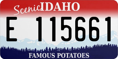 ID license plate E115661
