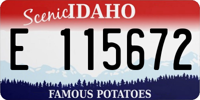 ID license plate E115672