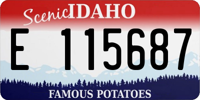 ID license plate E115687