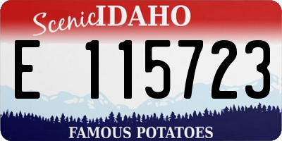 ID license plate E115723