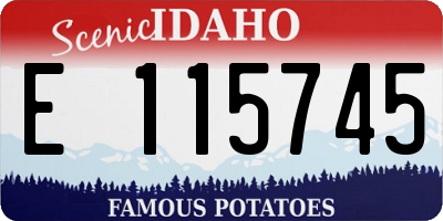 ID license plate E115745