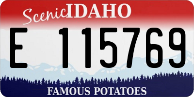 ID license plate E115769