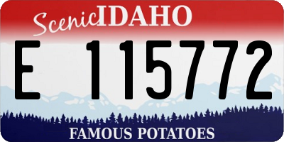 ID license plate E115772