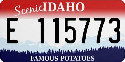 ID license plate E115773