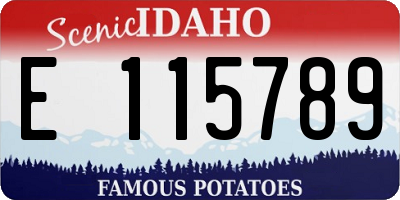 ID license plate E115789