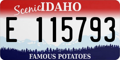 ID license plate E115793
