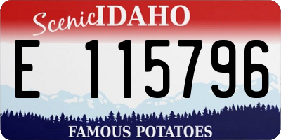 ID license plate E115796
