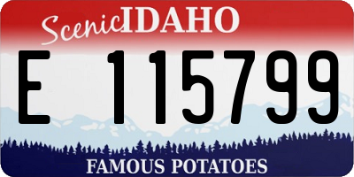 ID license plate E115799