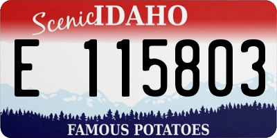 ID license plate E115803