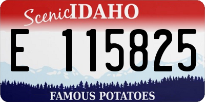 ID license plate E115825