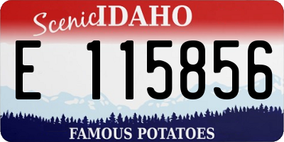 ID license plate E115856